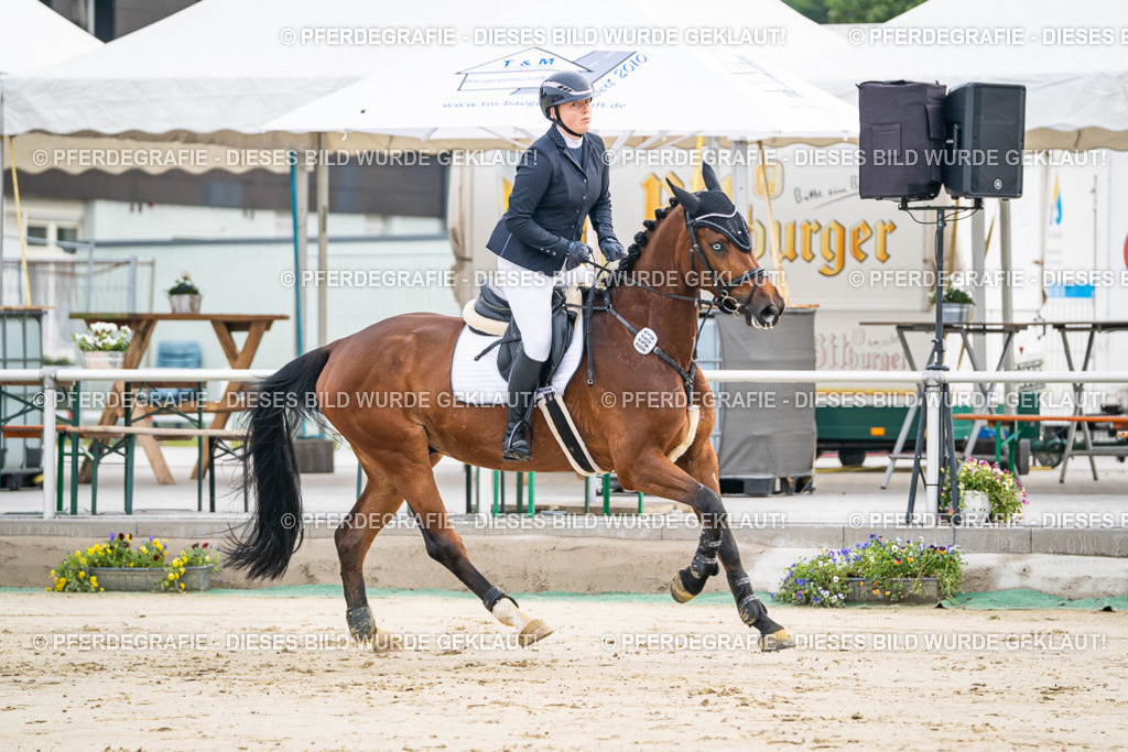 DSC08586 | Pferdegrafie