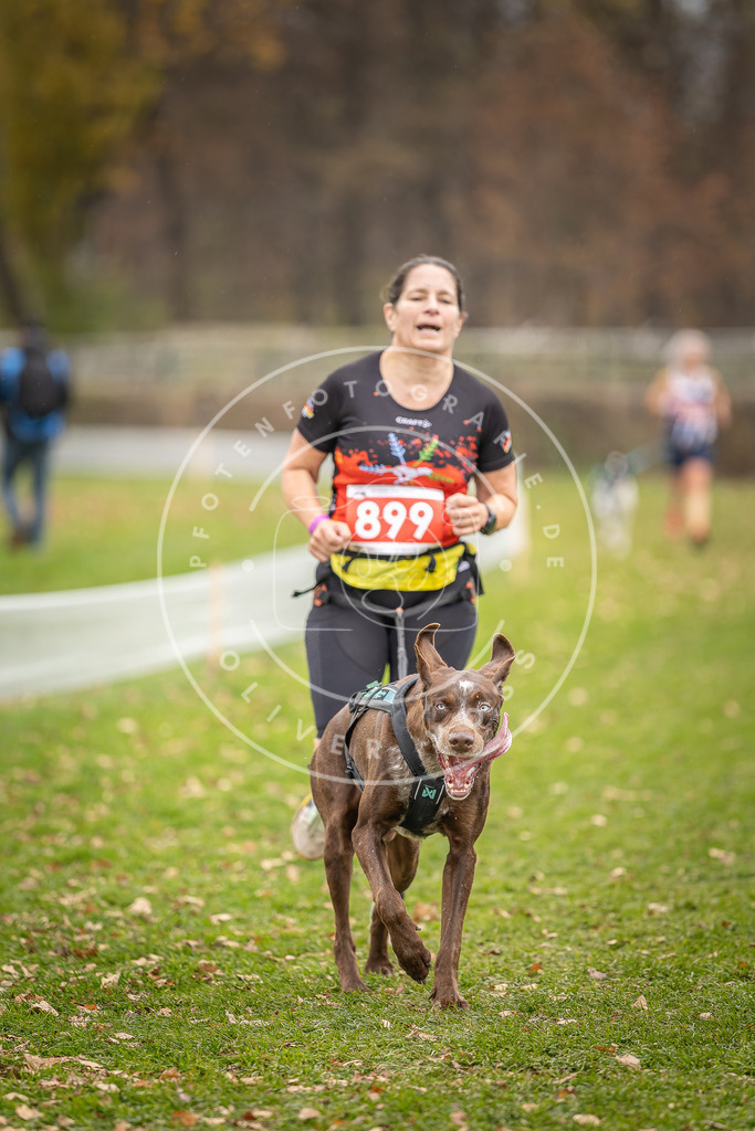 CaniXpix_DV3A6917 | Hundefotografie, Tierfotograf, Pfotenfotografie, Fotoshooting Hund, Hunde Portrait, Hundesport, Hundeportraits, Heideshooting, Hunde, Sportfotograf, Hundefotograf, Turnierhundsport, THS,  - Realisiert mit Pictrs.com