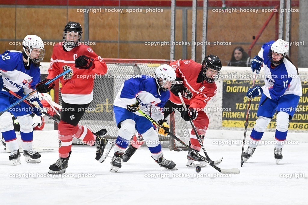 BST_3812 | hockey sports photos, Pressefotos, Sportfotos, hockey247, win 2day icehockeyleague, Handball Austria, Floorball Austria, ÖVV, Kärntner Eishockeyverband, KEHV, KFV, Kärntner Fussballverband, Österreichischer Volleyballverband, Alps Hockey League, ÖFB, 