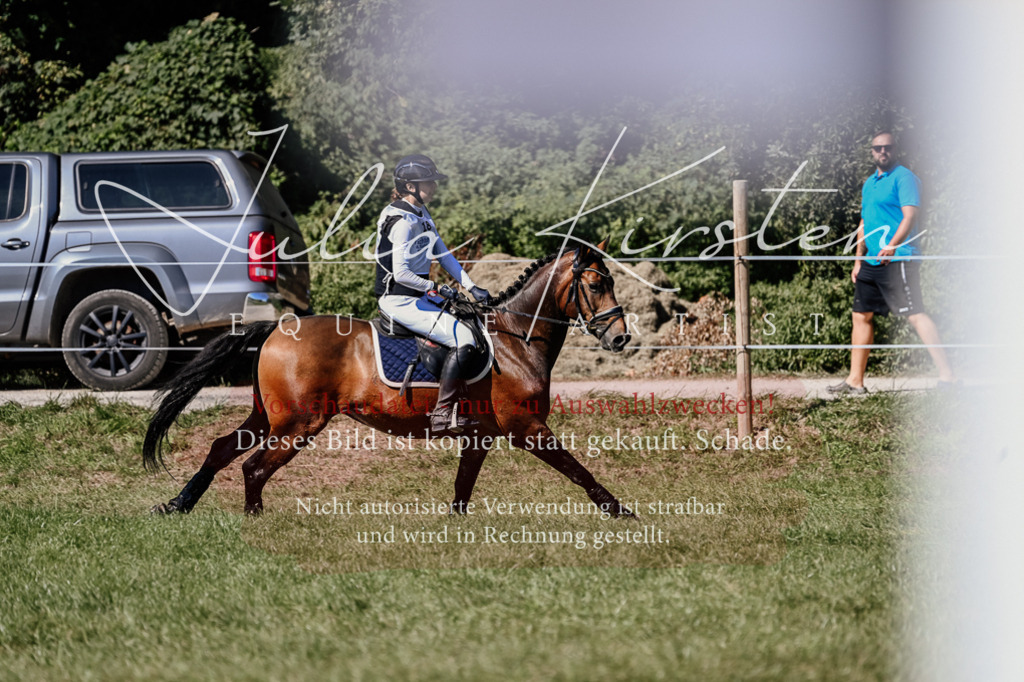 DSC_1305 | Pferde- und Turnierfotografie in Westsachsen. Pferdeportraits, Auftragszeichnungen und intuitive Kunst.