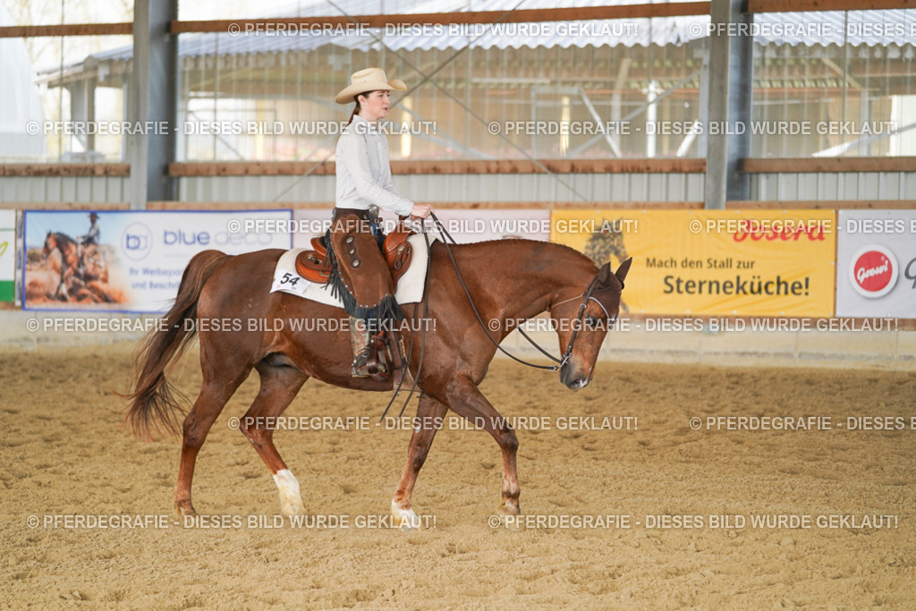 DSC01330 | Pferdegrafie