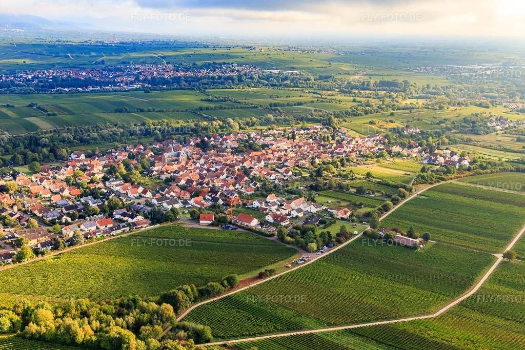 Luftbild: Ortsansicht von Süden im Ortsteil Arzheim in Landau im Bundesland Rheinland-Pfalz in Deutschland. Foto: IMG_103324.jpg vom 10.09.2017 durch Werner Riehm/FLY-FOTO.de