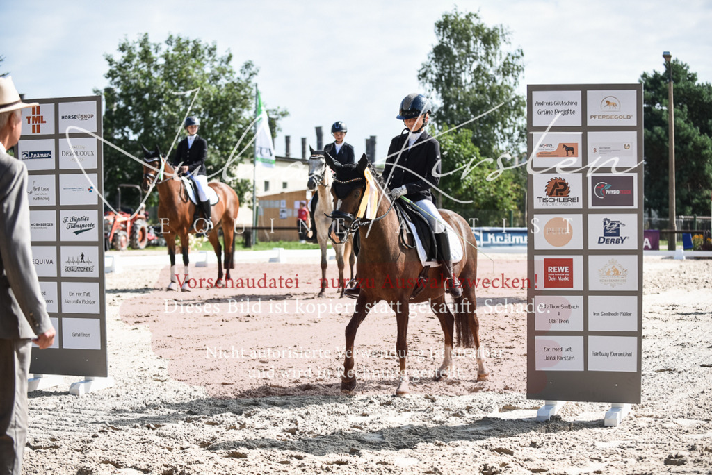DSC_8730 | Pferde- und Turnierfotografie in Westsachsen. Pferdeportraits, Auftragszeichnungen und intuitive Kunst.