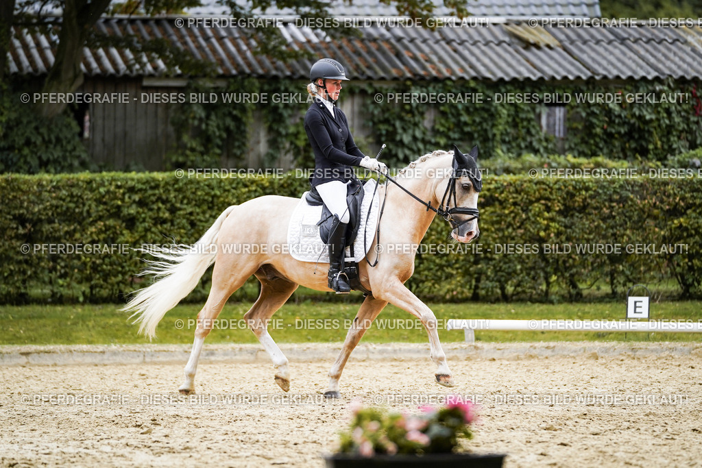 DSC02061 | Pferdegrafie