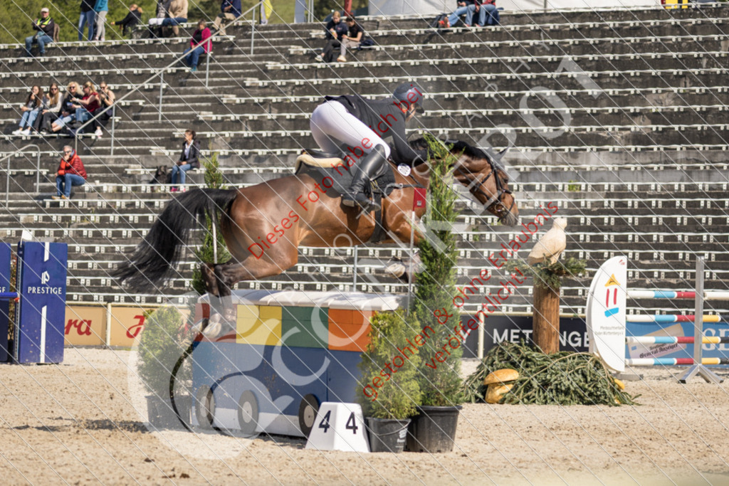 IMG_4239 | Sport-, Event- und Tierfotos in Profiqualität. Einfach auswählen, bestellen und herunterladen. Dein Moment – perfekt festgehalten.