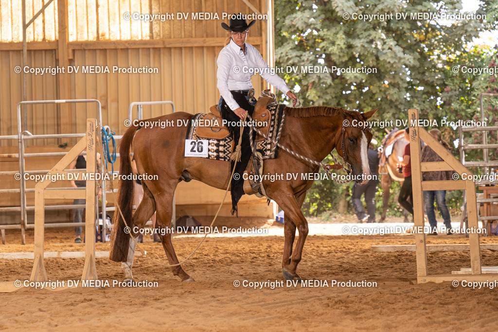 NID00627 | dv-media-shop - Realisiert mit Pictrs.com