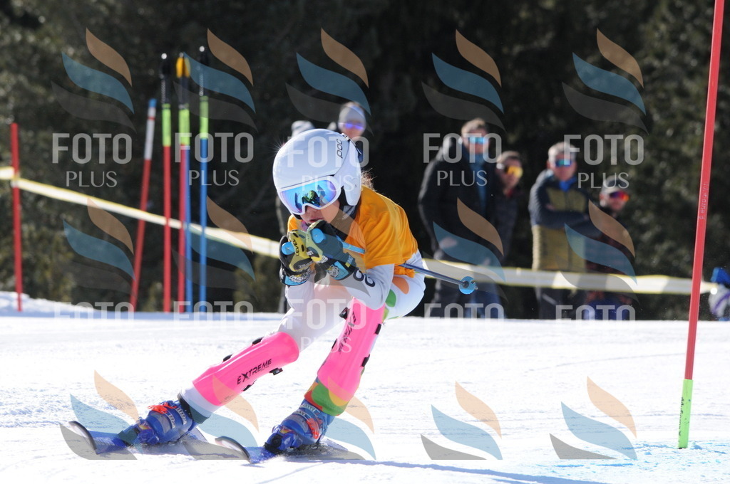 C7057 | holidayphoto