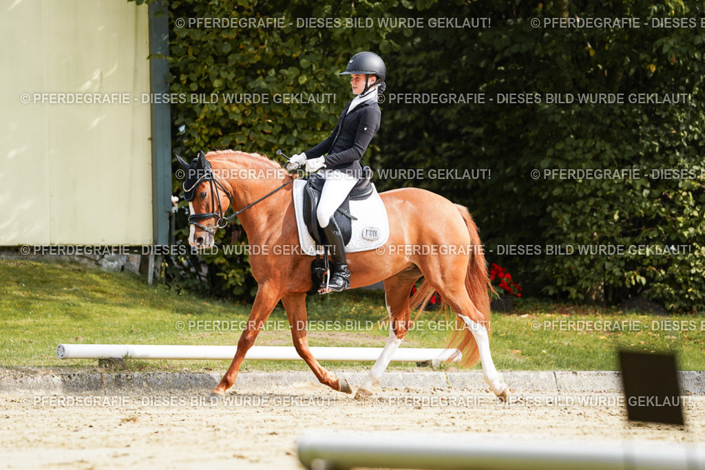 DSC04025 | Pferdegrafie