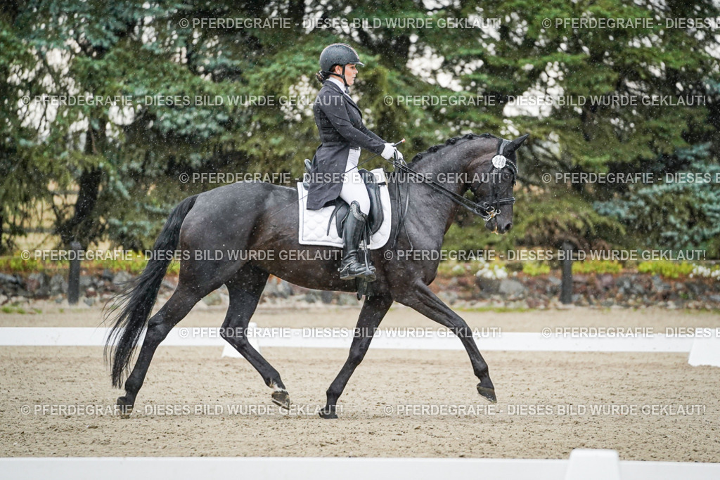 DSC08280 | Pferdegrafie