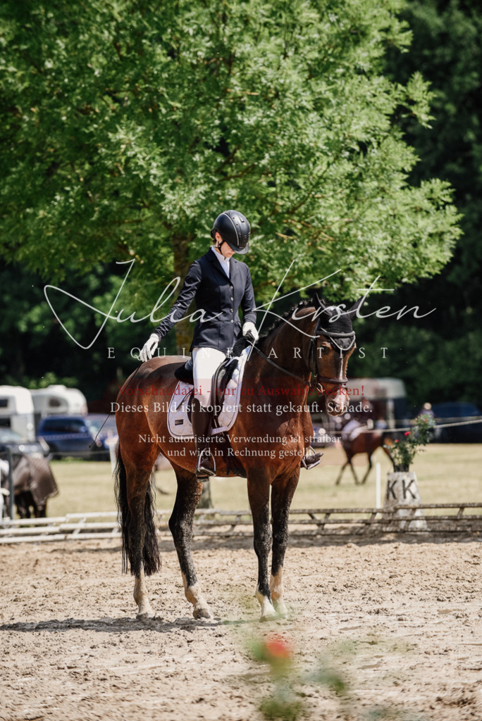 DSC_0876 | Pferde- und Turnierfotografie in Westsachsen. Pferdeportraits, Auftragszeichnungen und intuitive Kunst.