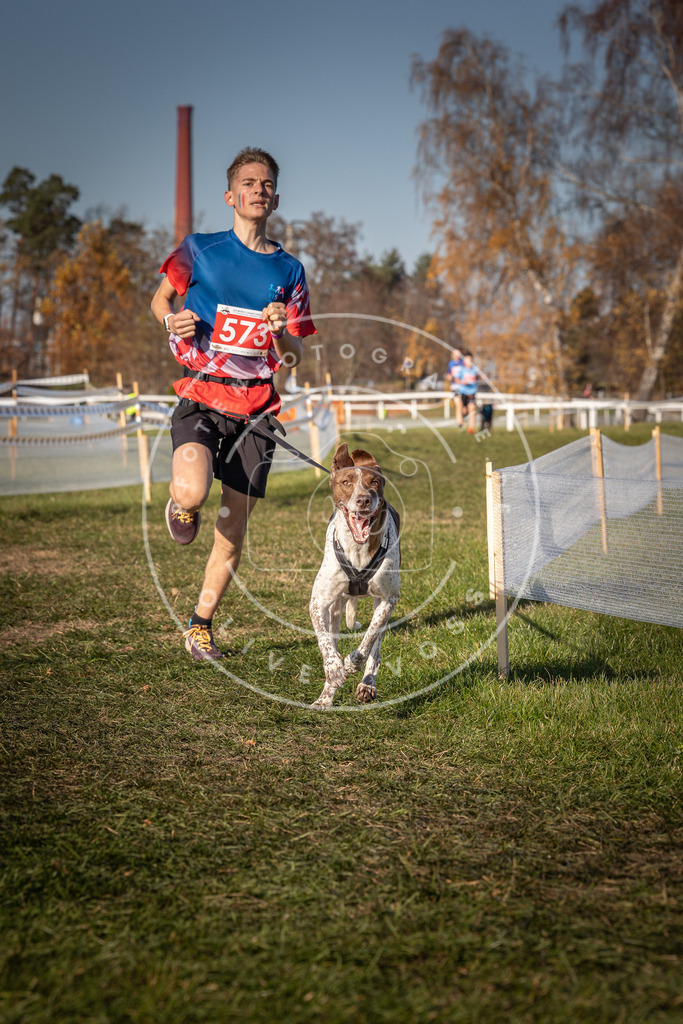 CaniXpix_0L8A8042 | Hundefotografie, Tierfotograf, Pfotenfotografie, Fotoshooting Hund, Hunde Portrait, Hundesport, Hundeportraits, Heideshooting, Hunde, Sportfotograf, Hundefotograf, Turnierhundsport, THS,  - Realisiert mit Pictrs.com