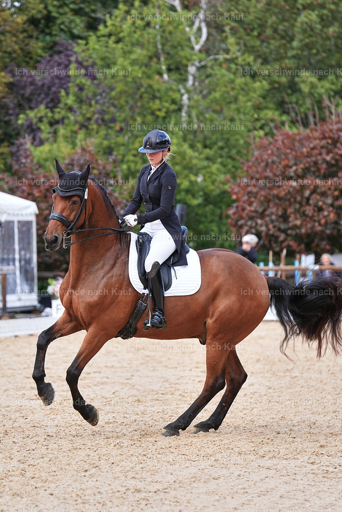 07-189-DRESSUR  S___  -Marixx-5157 | working equitationturnier fotograf videograf stoibphotography marixx film working equitation deutschland reitsport turnierfotografie eventfotografie equestrian events