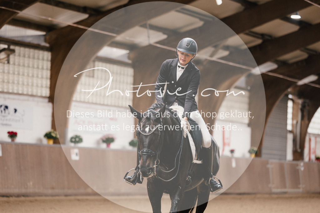 3I6A8170 | Stimmungsvolle Portraits und Reitsportfotografie im Ruhrgebiet und im Münsterland.

Pferdefotografie, Hundefotografie, Tierfotografie, Reportagen, Portraits von Tier und Mensch, Turnierfotografie in Bochum, Recklinghausen, Marl, Haltern am See, Dülmen.. - Realisiert mit Pictrs.com