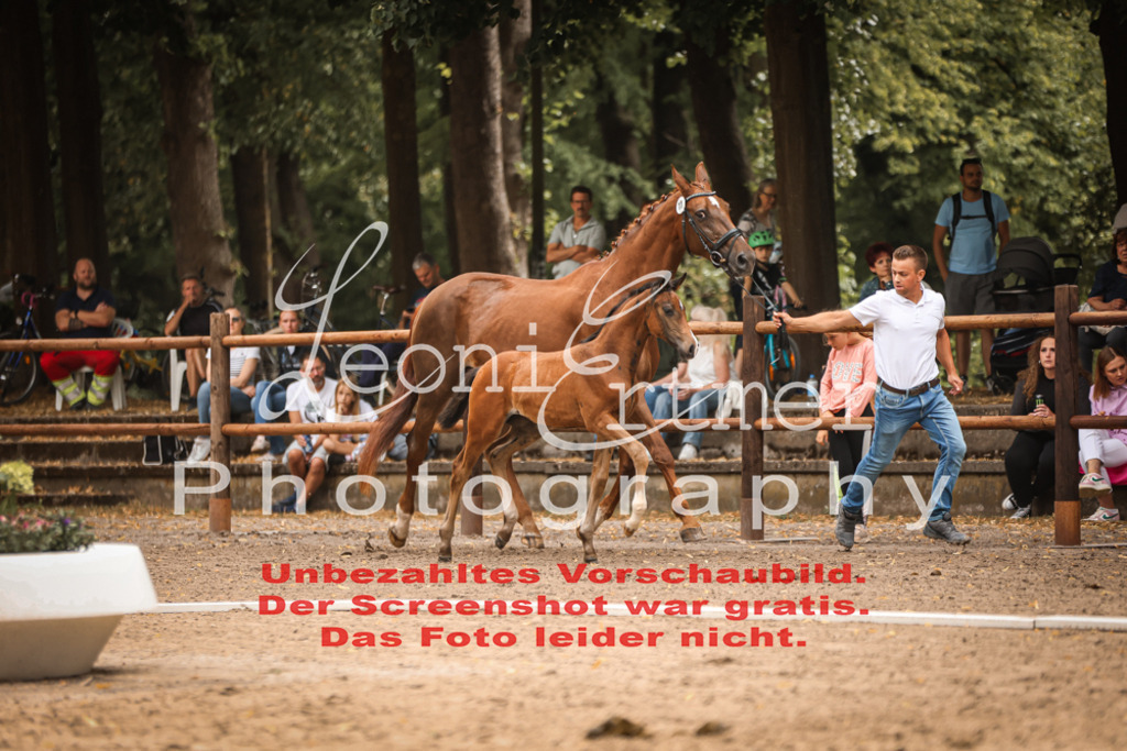 SaFohlen00093 | Leoni Ertmer Photography - Realisiert mit Pictrs.com
