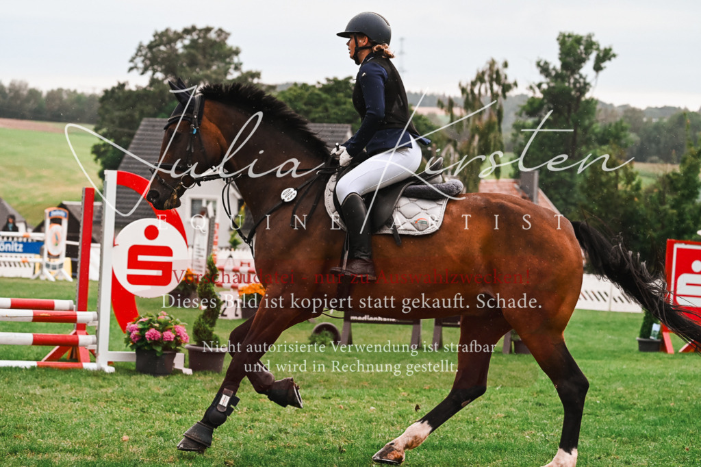 DSC_6390 | Pferde- und Turnierfotografie in Westsachsen. Pferdeportraits, Auftragszeichnungen und intuitive Kunst.