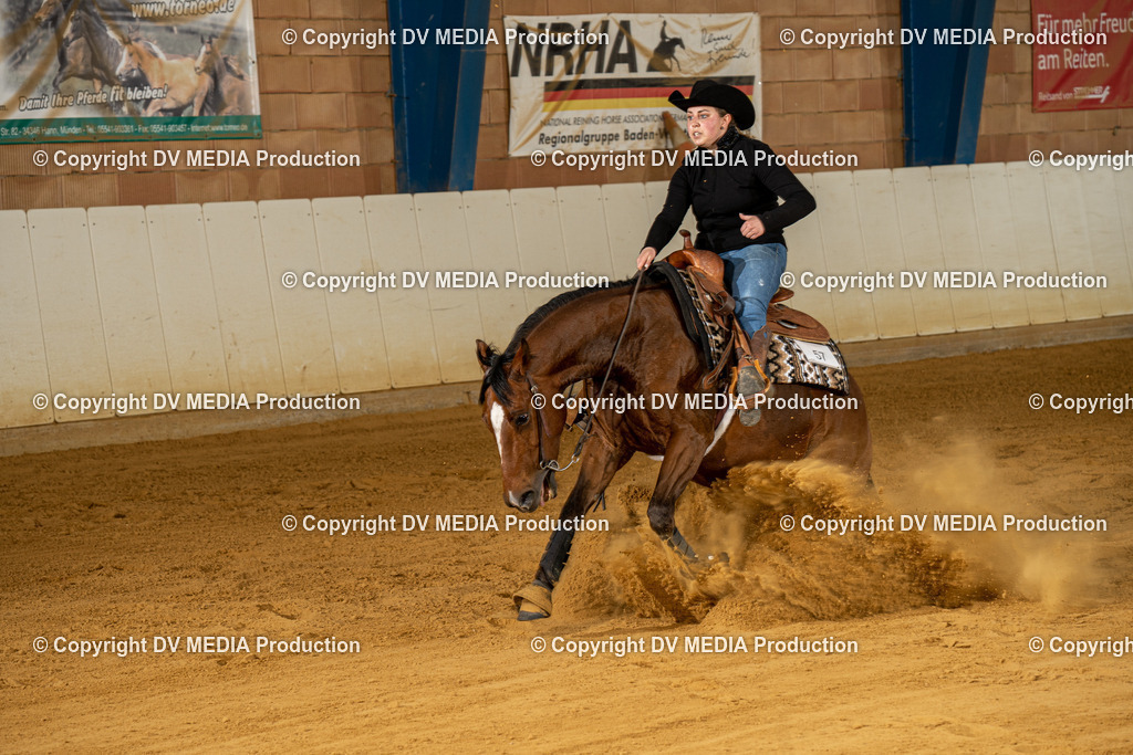 MIT00304 | dv-media-shop - Realisiert mit Pictrs.com