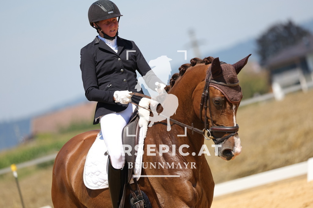 0P6A0599 | Willkommen bei Brunnmayr - Design & Fotografie – Ihrem Spezialisten für Reitturniere und Pferdeveranstaltungen in Oberösterreich, Salzburg und Bayern! Seit über 17 Jahren sind wir leidenschaftlich dabei.