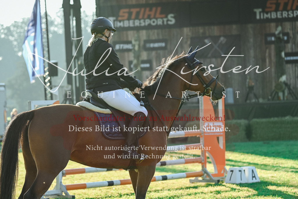 DSC_3882 | Pferde- und Turnierfotografie in Westsachsen. Pferdeportraits, Auftragszeichnungen und intuitive Kunst.