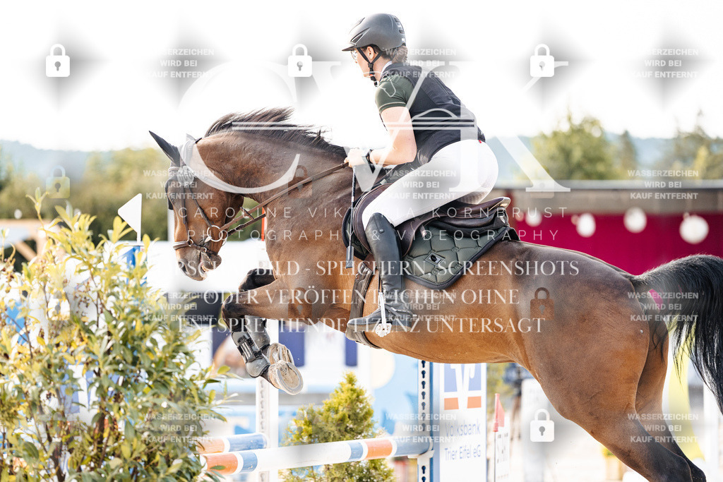 CK906276 | Turnierfotografie Pferdefotografie Trier Rheinland-Pfalz Pferdesport Reitsport Tierfotografie Sportfotografie Pferdevideo Pferdevideografie Equestrianvideography equestrianphotography  - Realisiert mit Pictrs.com