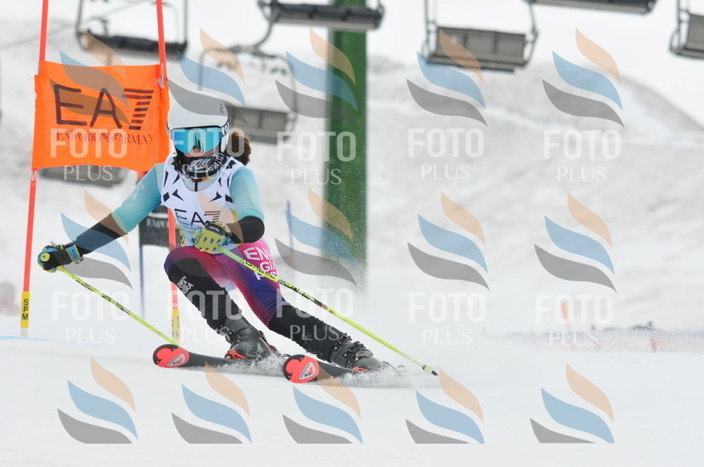 DSC_8886 | holidayphoto