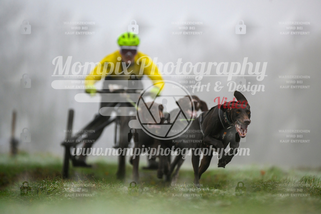 MompixPhotography_CDF2023_FFST_Di_Kart-36 | PayLife