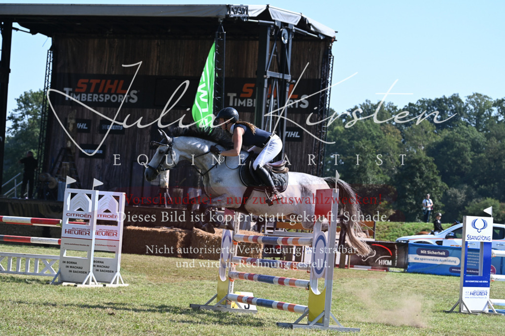 DSC_6352 | Pferde- und Turnierfotografie in Westsachsen. Pferdeportraits, Auftragszeichnungen und intuitive Kunst.