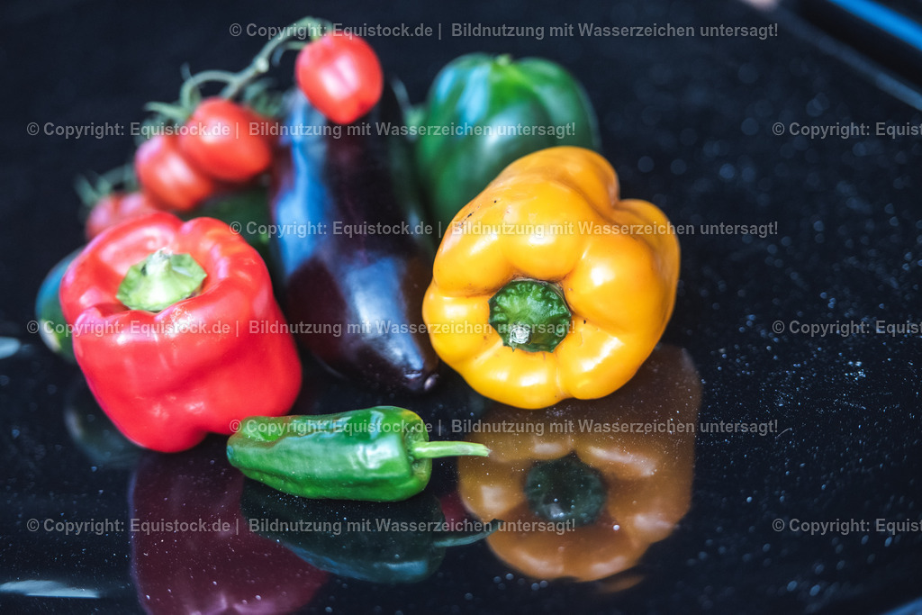 20240302_Hengstvorstellung_Marbach_TOMsPiC_0009 | equistock