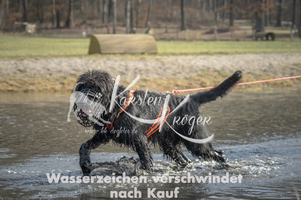 1020_ZZ96769 | kk-dogfotos