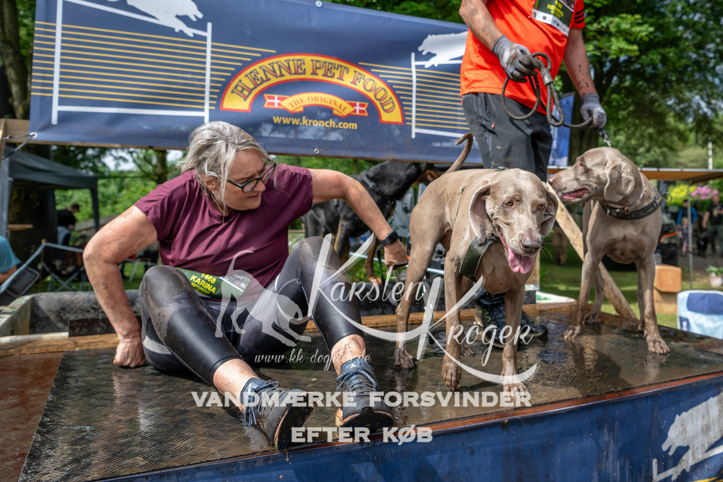 1031_ZZ91092 | kk-dogfotos