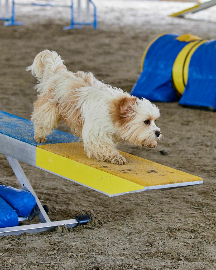 580A0249 | Peter Fridle Fotografie - Realisiert mit Pictrs.com