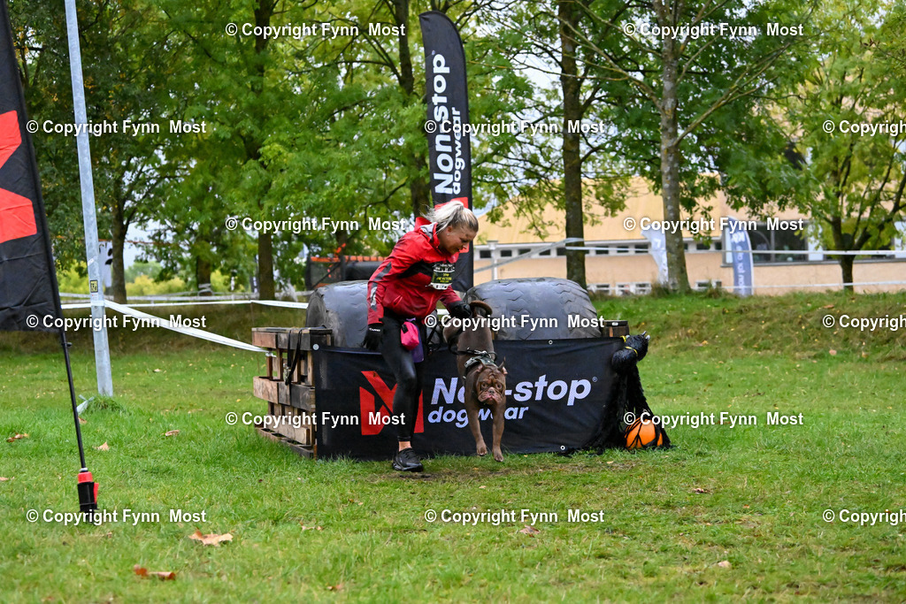 DSC_2525 | Hallo und herzlich Willkommen auf meiner Shop-Seite Fynn Most.

Ich wünsche Dir viel Spaß beim stöbern durch die Bilder, wenn Du Fragen hast oder Bilder vermisst, kannst du mir gerne eine Nachricht schreiben. - Realisiert mit Pictrs.com