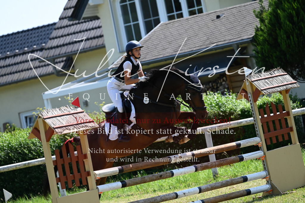DSC_0536 | Pferde- und Turnierfotografie in Westsachsen. Pferdeportraits, Auftragszeichnungen und intuitive Kunst.