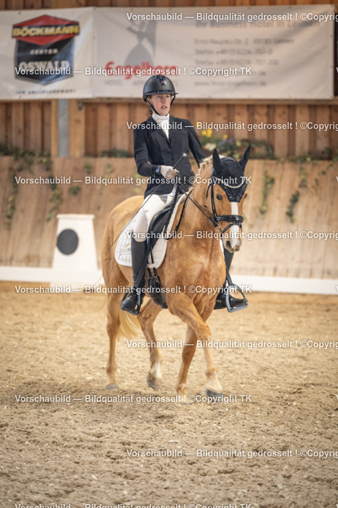 _D5A1241 | Emotionale Pferde- & People-Fotografie rund um Heidelberg, Leimen & Umgebung. Natürliche Fotos von Pferd, Mensch & Familie. Jetzt Termin sichern!