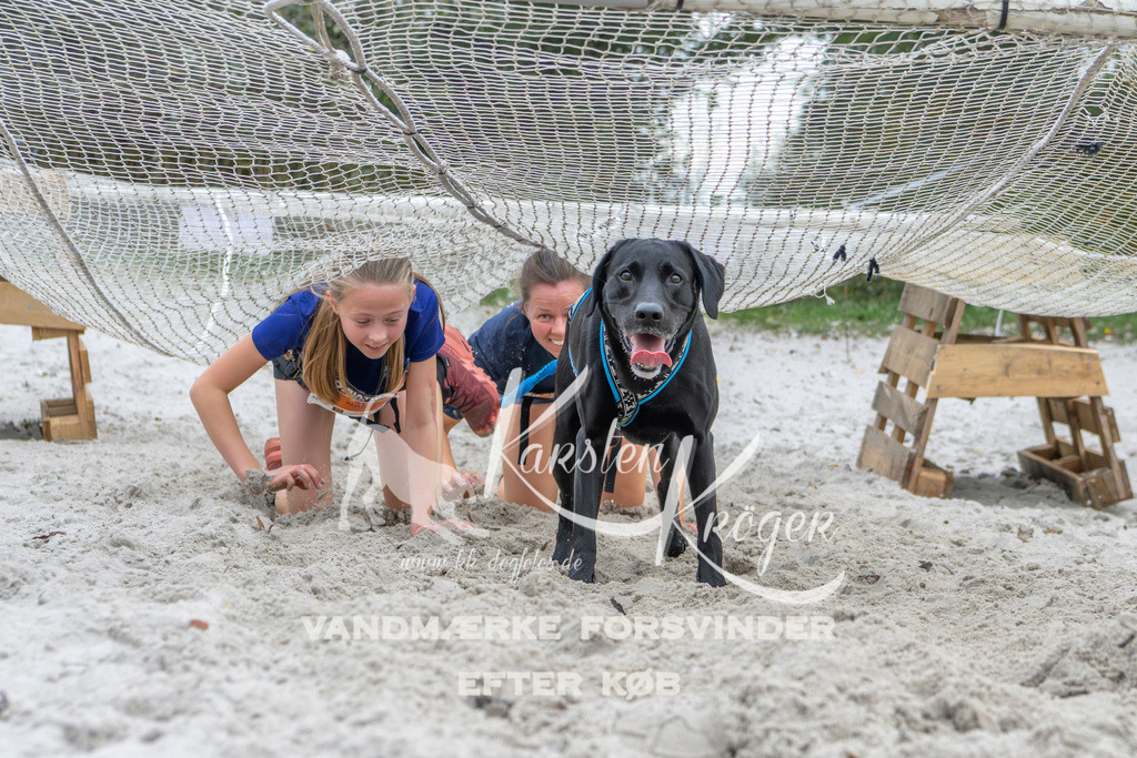 1113_ZZ95874 | kk-dogfotos