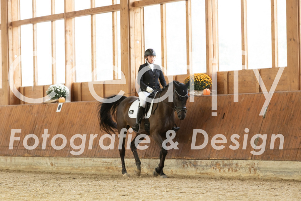 IMG_5964 | Creatify Fotografie