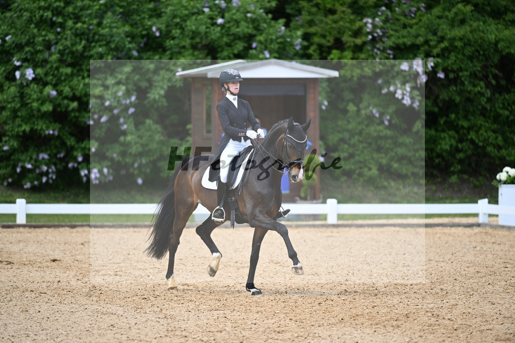 Soeder_Shosholoza_26262506 | hf-fotografie - Realisiert mit Pictrs.com