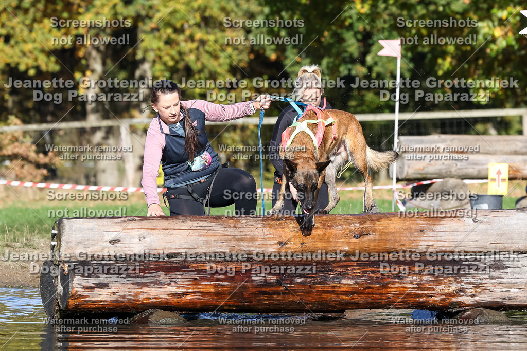 Dog Paparazzi - Strongdog 10-25-8934 | Dog Paparazzi Jeanette Grottendiek Fotografie & Videografie - Realisiert mit Pictrs.com