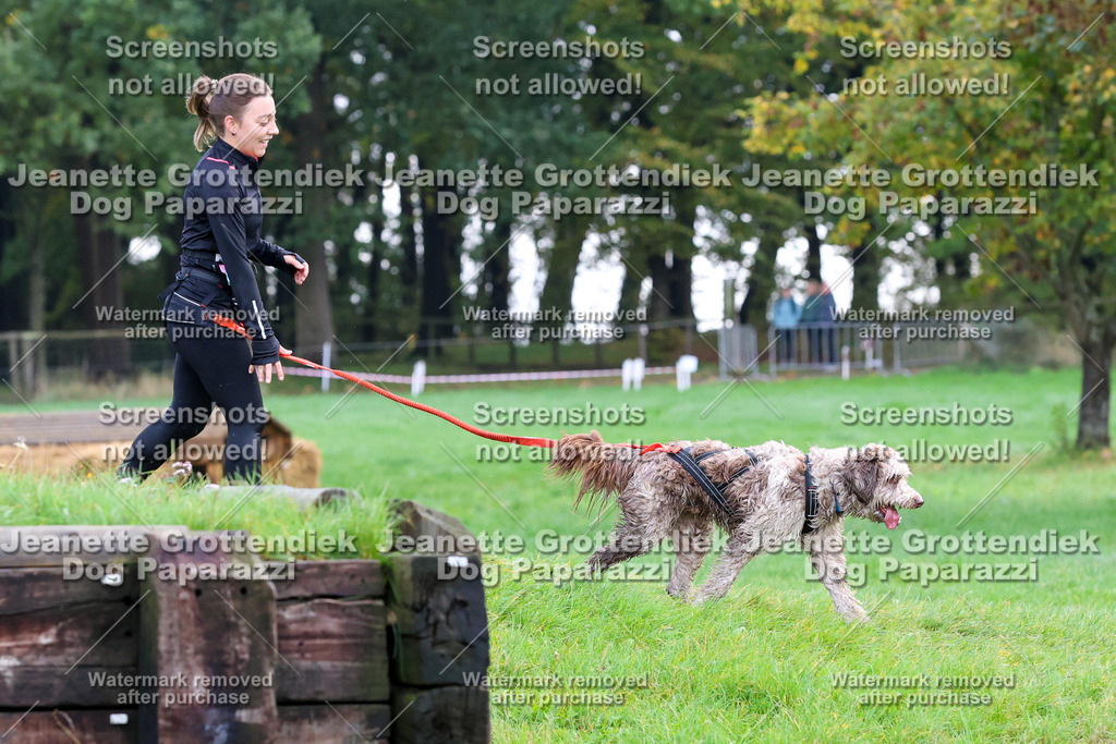 Dog Paparazzi -  SD1026-2081 | Dog Paparazzi Jeanette Grottendiek Fotografie & Videografie - Realisiert mit Pictrs.com