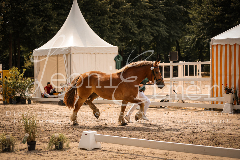 3.Sa00017 | Leoni Ertmer Photography - Realisiert mit Pictrs.com