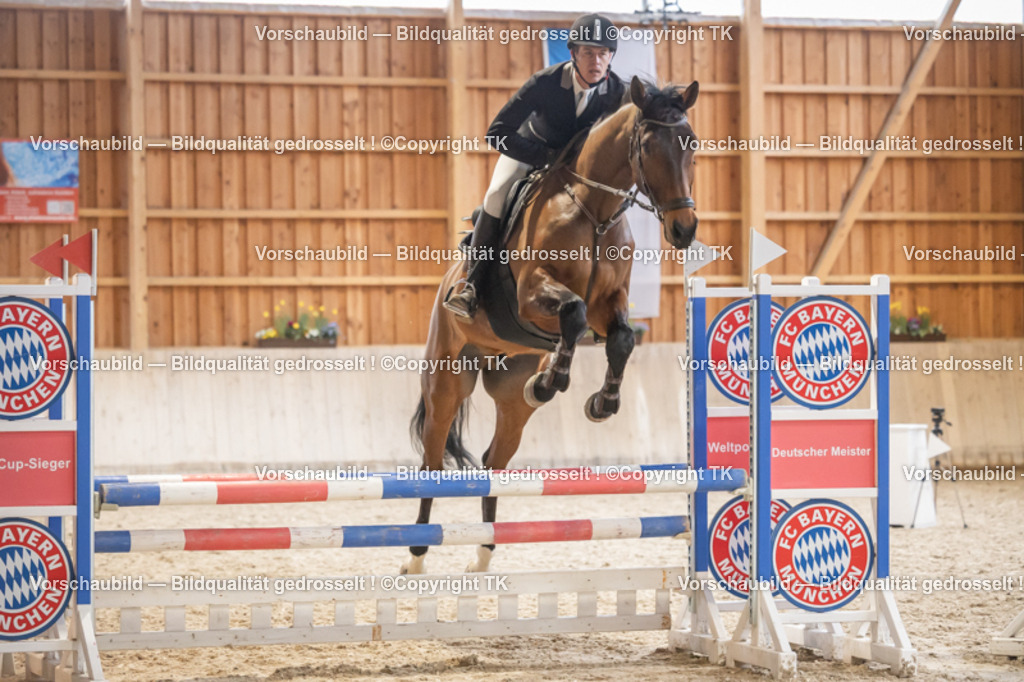 _D5A8155 | Emotionale Pferde- & People-Fotografie rund um Heidelberg, Leimen & Umgebung. Natürliche Fotos von Pferd, Mensch & Familie. Jetzt Termin sichern!