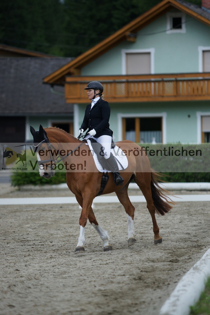 DSC05063 | equestrian-live-com