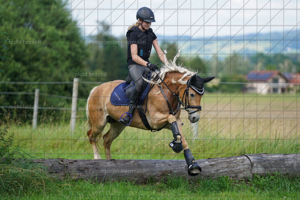 20240622-FAH07943 | Turnierfotografen Bayern, Reitsportbilder aus dem Geländekurs mit Felix Etzel auf dem Gut Waitzacker 2024