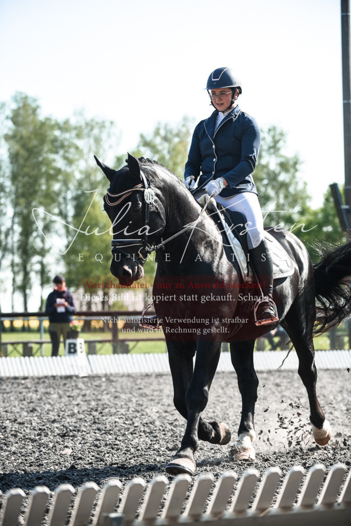 DSC_8468 | Pferde- und Turnierfotografie in Westsachsen. Pferdeportraits, Auftragszeichnungen und intuitive Kunst.