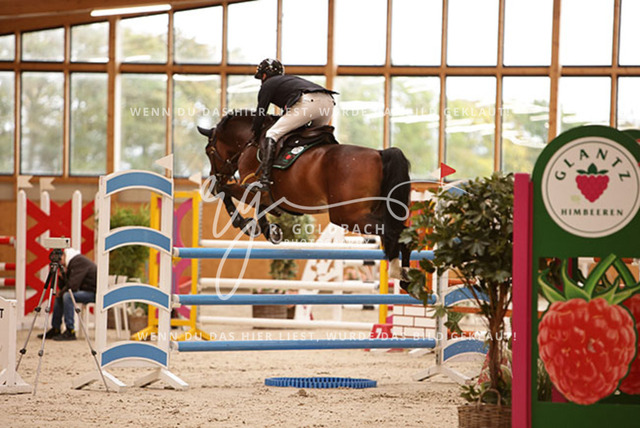 1J2A5035Christoph Lanske_ Catching Fire 14_ Kn092_ Glantz_ Hohen Wieschendorf | Foto- und Videografie für alles rund ums Pferd. Hochwertige Bilder und Videos vom Spring- und Dressurreiten, Voltigieren & mehr. Jetzt aktuelle Veranstaltungen und Preise im Shop ansehen. - Realisiert mit Pictrs.com