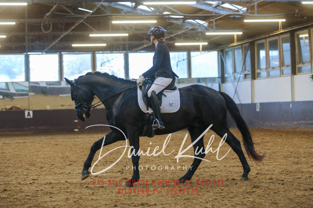 IMG_7219 | Turniersportfotografie; Pferdefotografie; Dressurfotografie