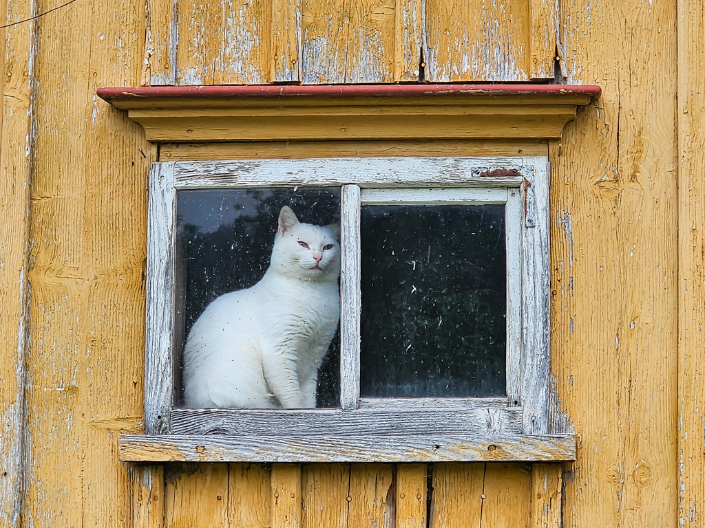 PSX_20230827_230554 | mtkfoto_ - Realisiert mit Pictrs.com