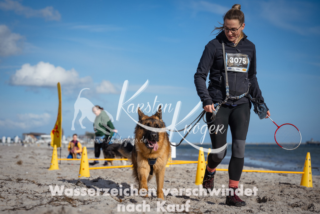1352_ZZ94240 | kk-dogfotos