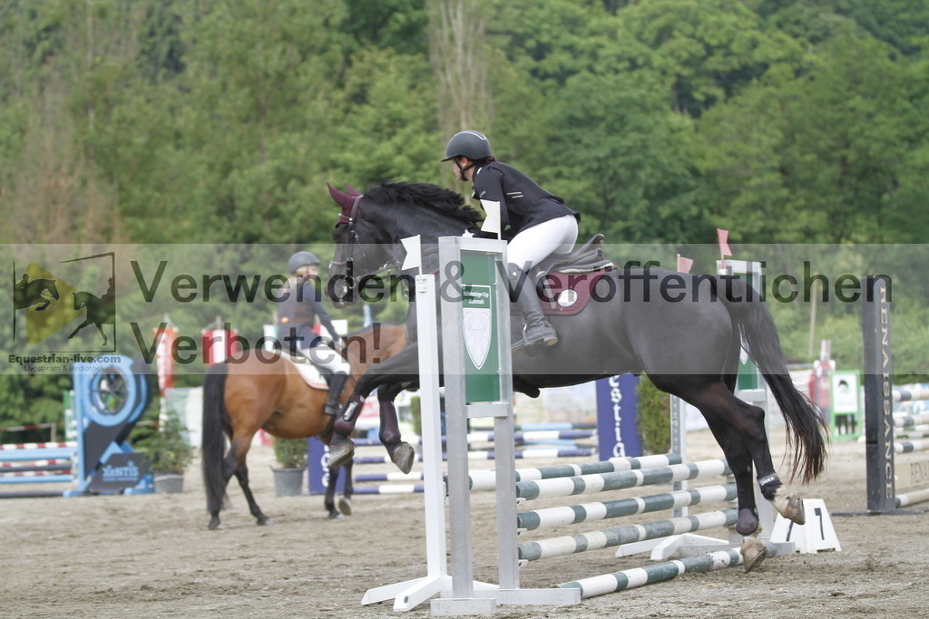 _MG_4371 | equestrian-live-com