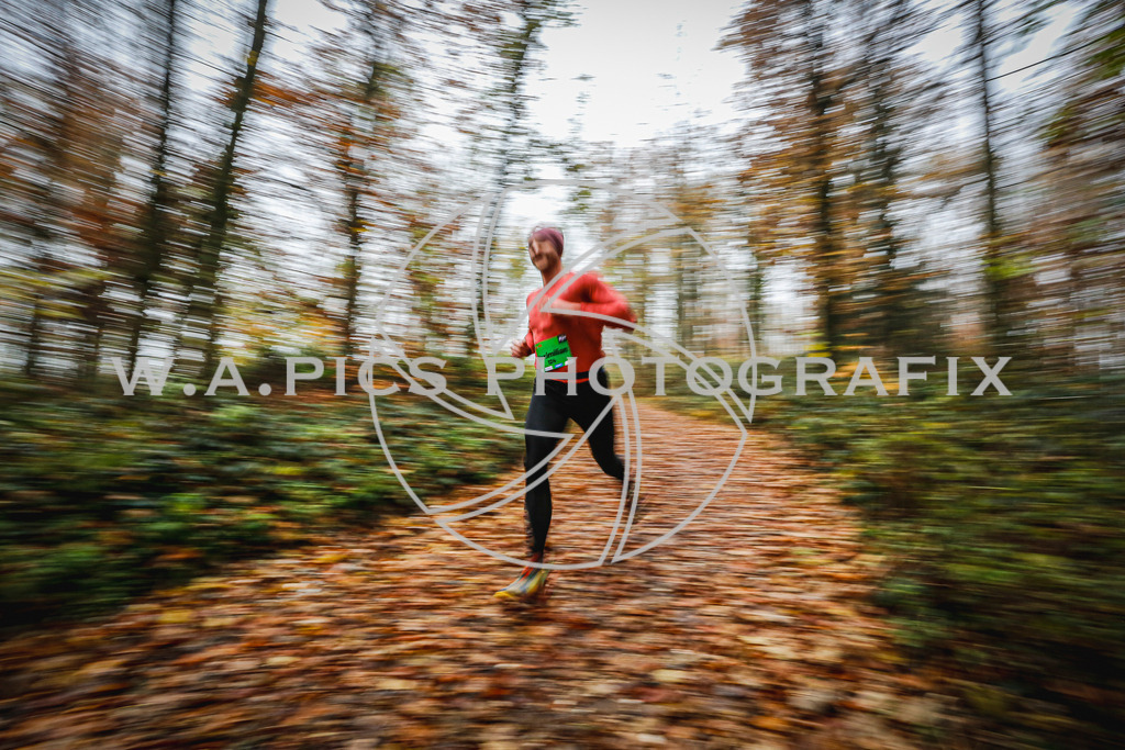 ..... | LEONDING,AUSTRIA,8.November 25, Kürnberglauf 2025  , Image shows: Photo: WAPICS / Andreas Willdoner