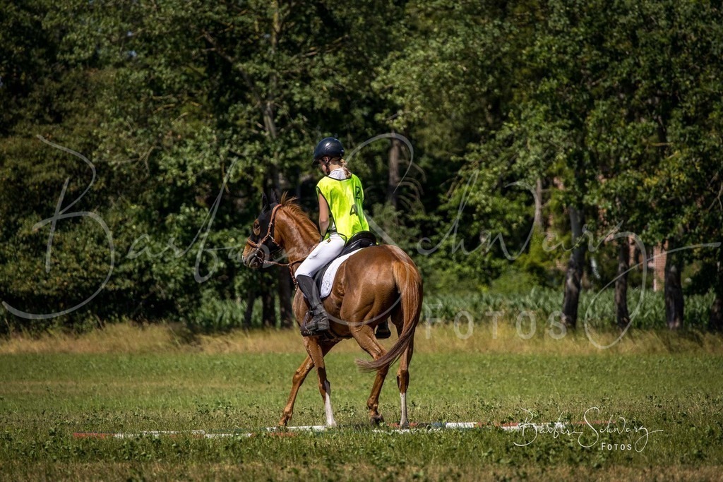 CJP_2026-06-26_128 | Stimmungsvolle Fotografie von Pferden, fotografische Begleitung von Veranstaltungen, Golfturnieren und Distanzritten - Realisiert mit Pictrs.com